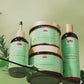 African Pride Peppermint Rosemary & Sage Strengthening Shampoo-354 ml/12 fl.oz